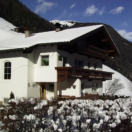 Ferienwohnung Alpenheim トゥクス エクステリア 写真