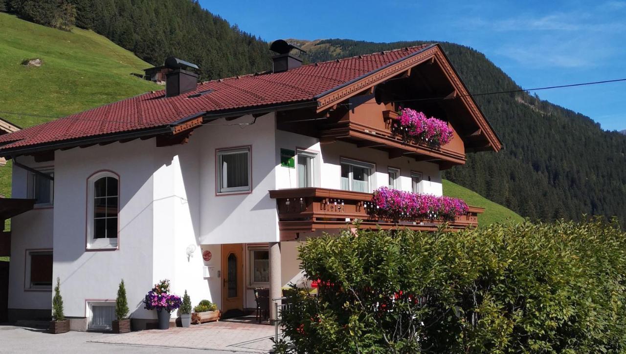 Ferienwohnung Alpenheim トゥクス エクステリア 写真