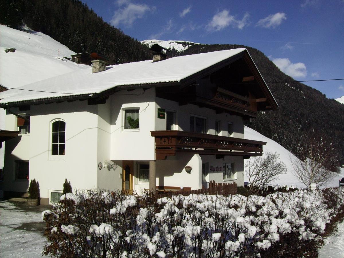 Ferienwohnung Alpenheim トゥクス エクステリア 写真