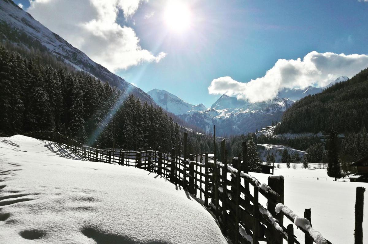 Ferienwohnung Alpenheim トゥクス エクステリア 写真
