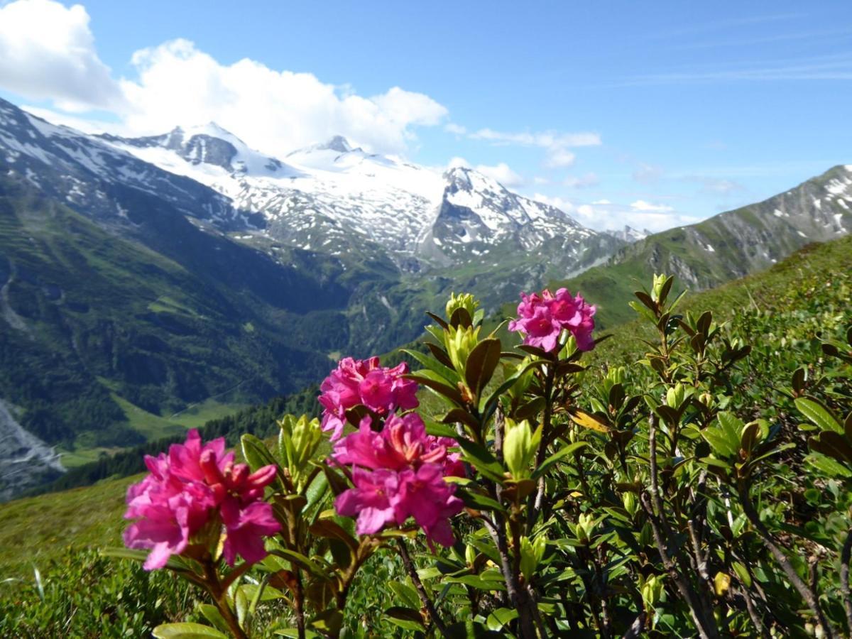 Ferienwohnung Alpenheim トゥクス エクステリア 写真
